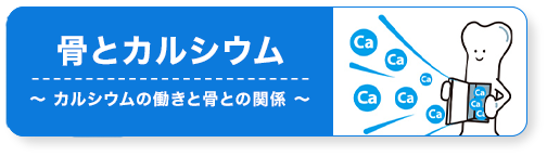 骨とカルシウム～カルシウムの働きと骨との関係～